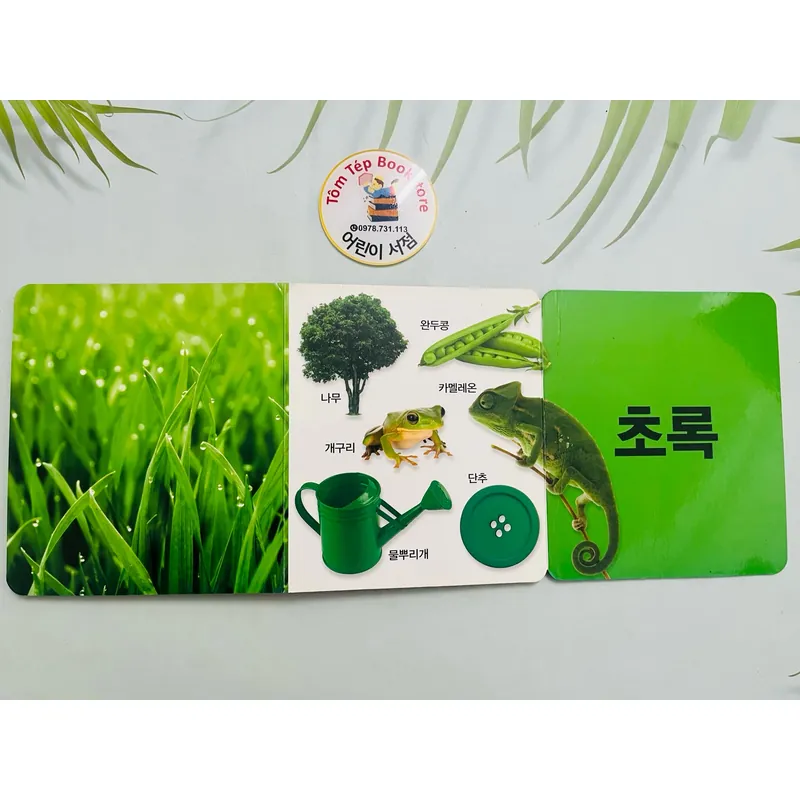Set boardbook tiếng Hàn B34  1066253