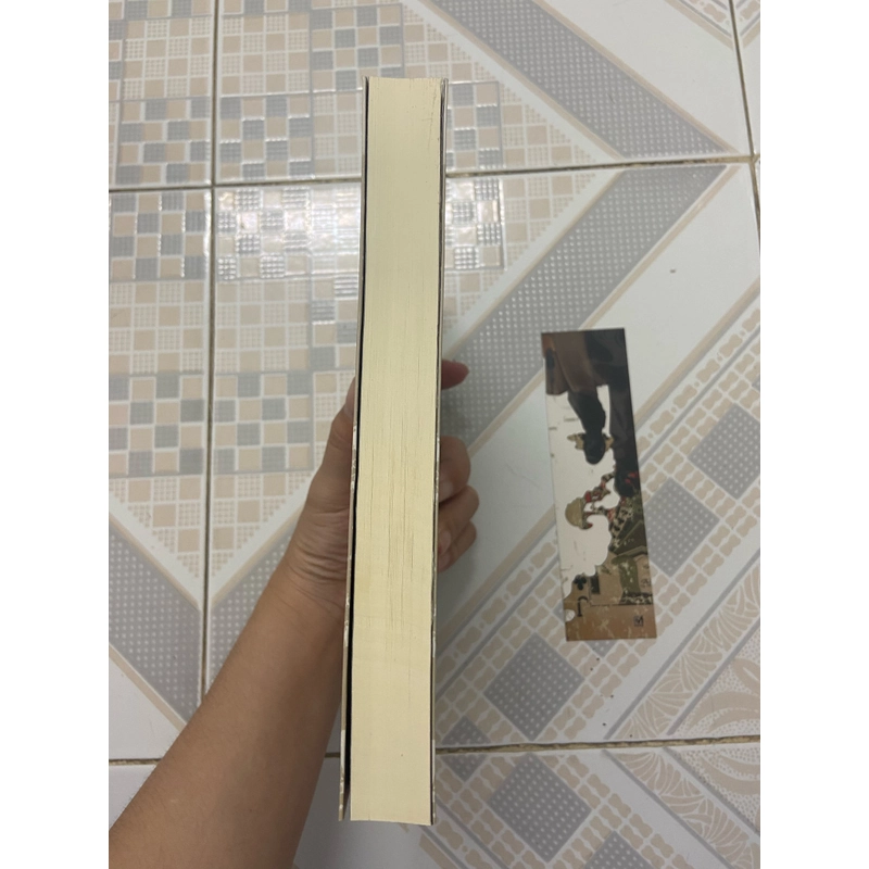 Kẻ Hành Pháp 499055