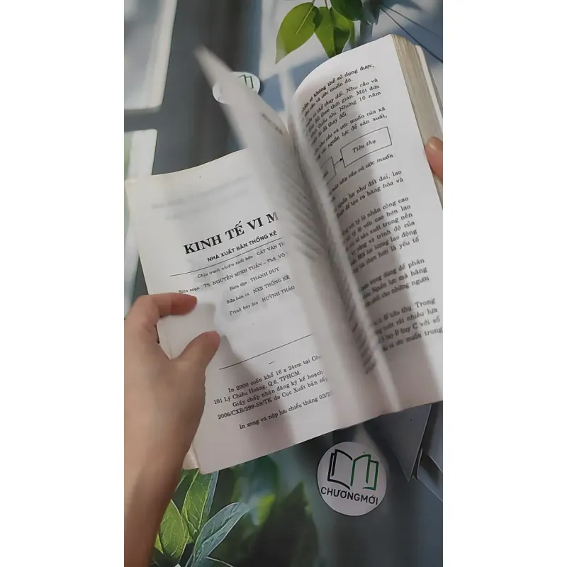 Kinh tế vi mô - Nguyễn Minh Tuấn & Võ Thị Thúy Hoa 1018853