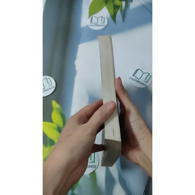 [MIỄN PHÍ BỌC SÁCH] Ấn Tượng Sài Gòn - Thành Phố Hồ Chí Minh 928604