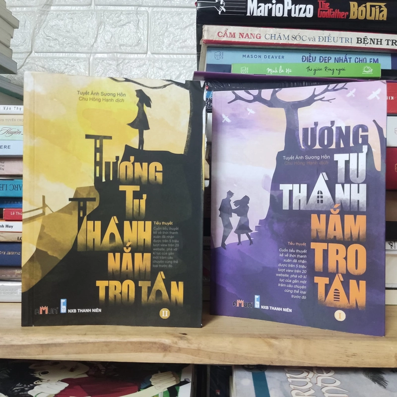 Tương tư thành nắm tro tàn - Tuyết Ảnh Sương Hồn (Bộ 2 tập) 354101