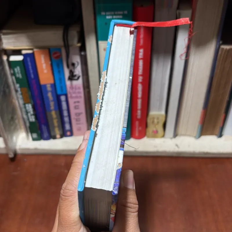 [Sách Bìa Cứng, Khổ Lớn, In Màu] - II Đà Nẵng _ 20 Năm Xây Dựng Và Phát Triển - 2017 798046