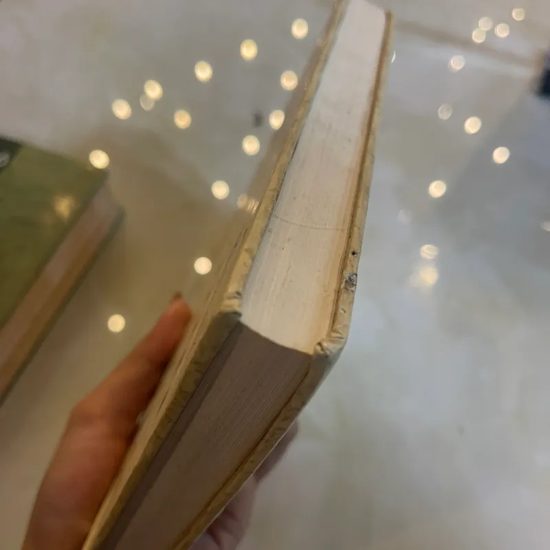 VĂN HỌC VĂN HOÁ TIẾP NHẬN VÀ SUY NGHĨ - ĐINH XUÂN DŨNG  1031458