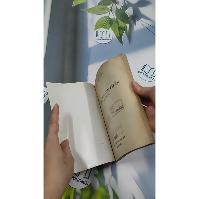 [XƯA] Vũng Bùn Son Phấn (1993) 776038