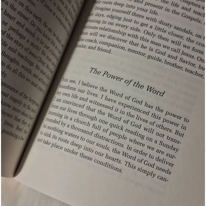 Rediscover Catholicism: A Spiritual Guide to Living with Passion and Purpose 783264