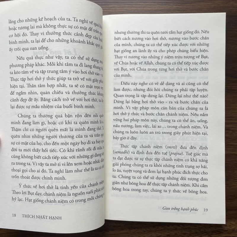 Gieo trồng hạnh phúc - Thích Nhất Hạnh 937380