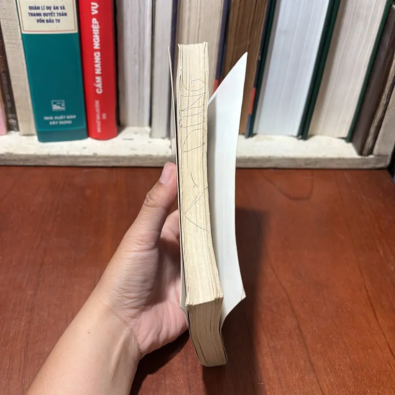 II Lịch Sử: Phía Tây Trường Sơn - Nguyễn Việt Phương - 2008 734500