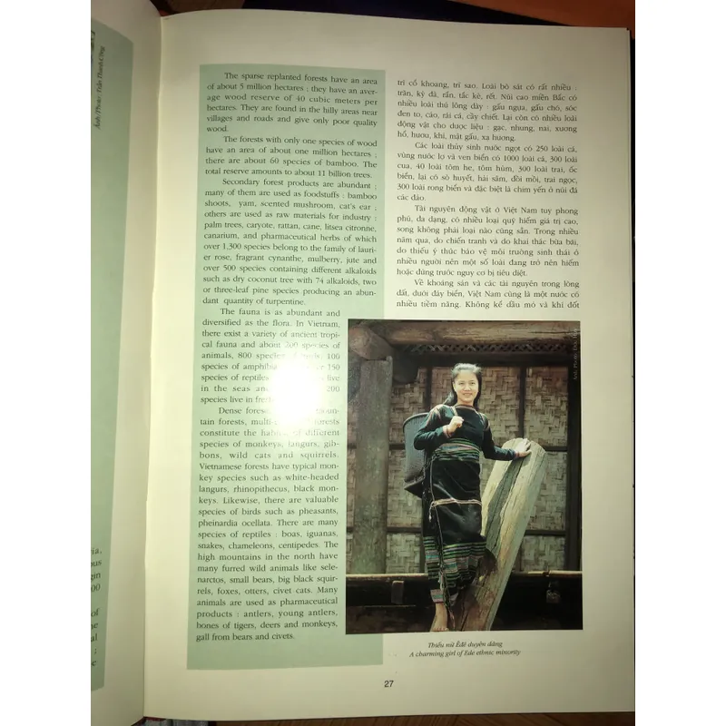 Có một Việt Nam như thế 721074