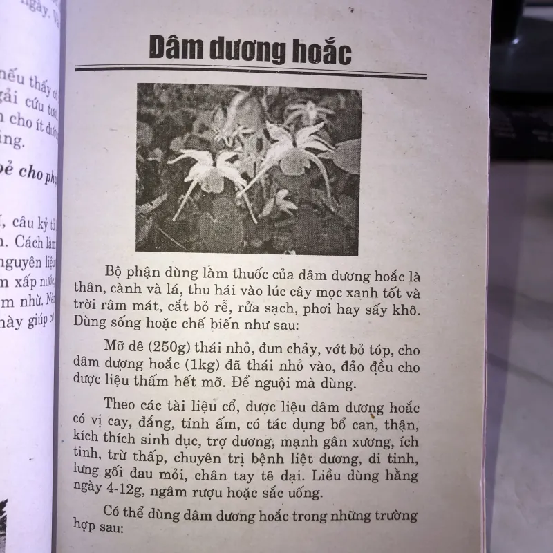 Chữa bệnh từ cây cỏ vườn nhà và bài thuốc gia truyền - Hải Quỳnh 1005367