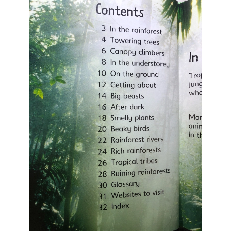 Rain Forests USBORNE BÌA CỨNG mới 85% Lucy Bowman HPB2707 NGOẠI VĂN 350776