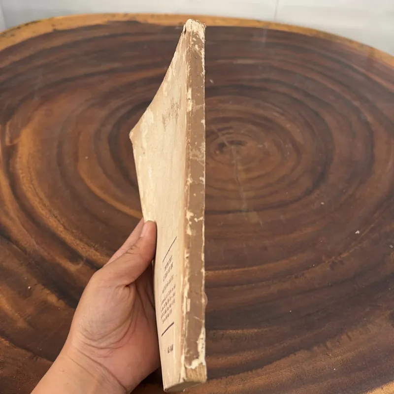 II Sưu Tầm: Thường Thức Lý Luận Văn Học - 1976 1008491