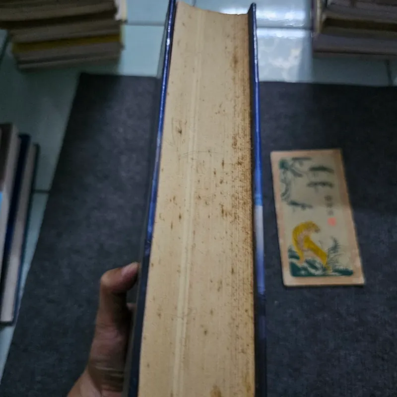 Hành trình sang Đông phương 745497