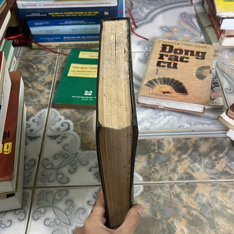 Từ điển Việt Nga 738751