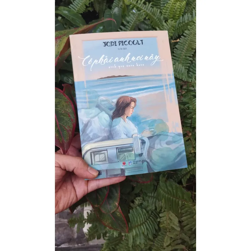 Có Phải Anh Nơi Này 1028866