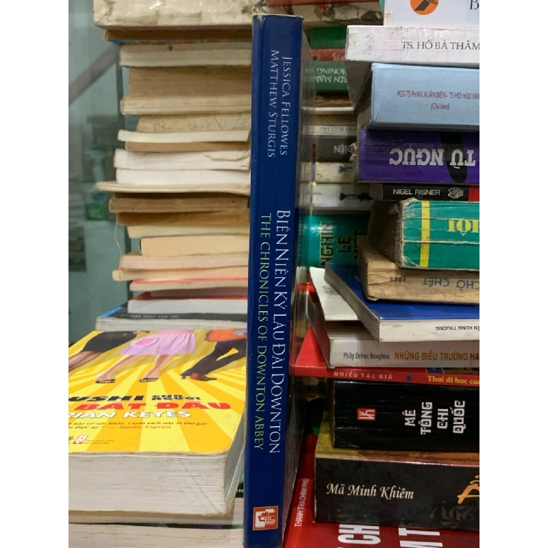 Biên niên ký lâu đài Downton the chronicles of downton abbey 751067