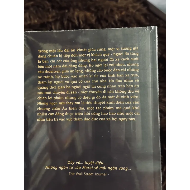 Những ngọn nến cháy tàn (seal) 993239