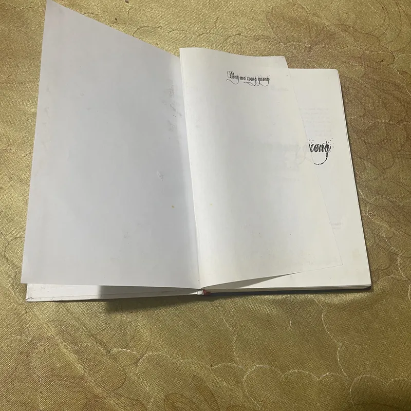 BÓNG MA TRONG GƯƠNG- DEAN KOONTZ 596337