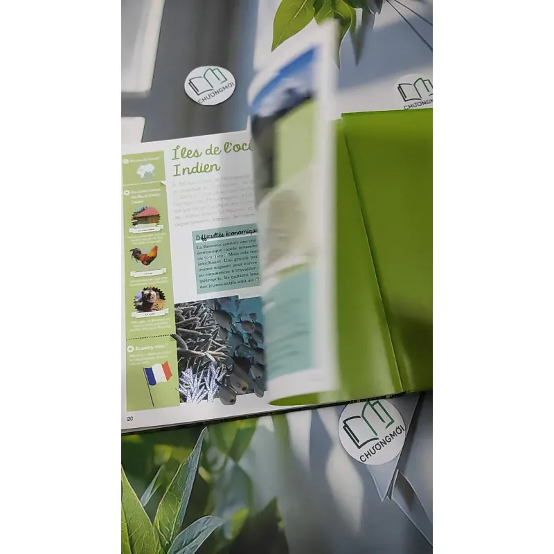 [MIỄN PHÍ BỌC SÁCH] La France - Jean-Michel Billioud 990432