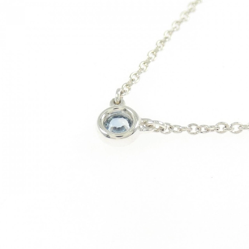 Dây chuyền Tiffany By The Yard - Hàng hiệu Authentic 841668