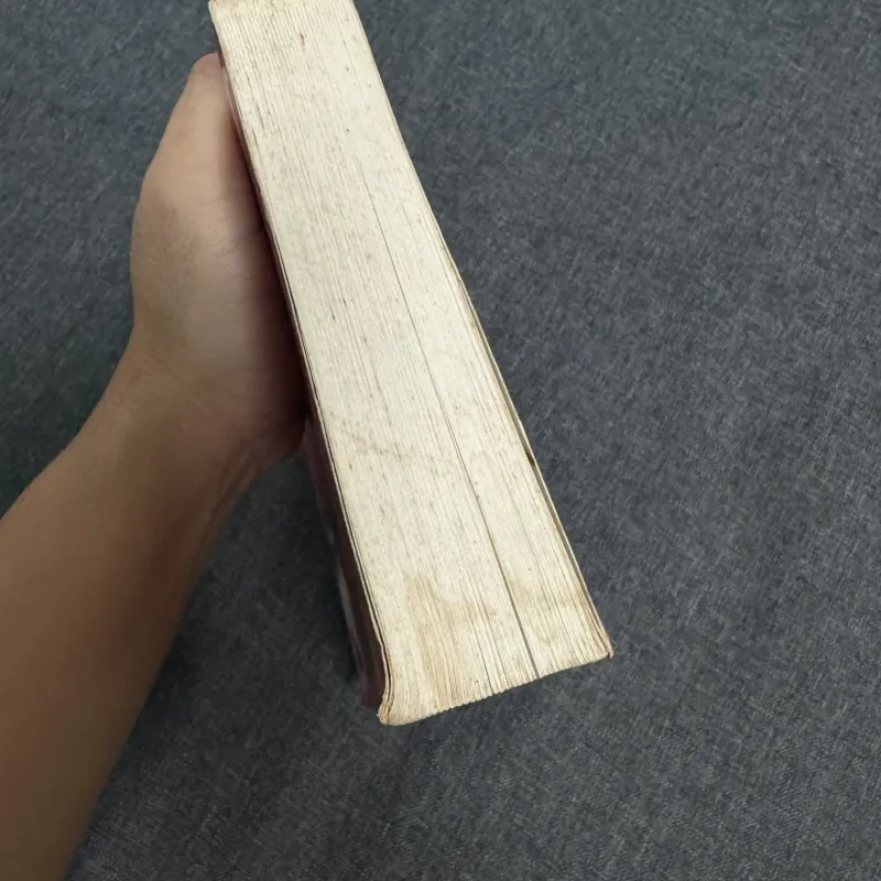 Sách 24 giờ cô độc ở Cannes - Paulo Coelho 748643