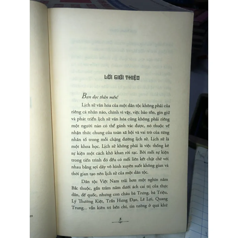 Góc nhìn sử Việt - Ngô Vương Quyền 713558