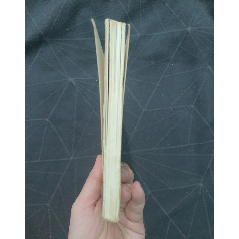Lưu Thiếu Kỳ & Ân oán Trung Nam Hải 498939