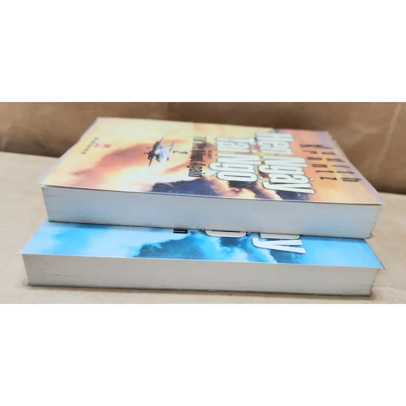 Tiểu thuyết HẸN NGÀY TÁI NGỘ của Judith Krantz 703519