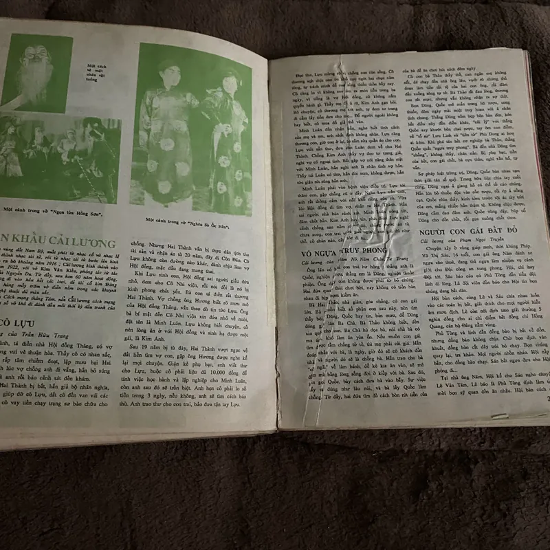 Văn hóa Việt Nam tổng hợp 1989, 1995 674745