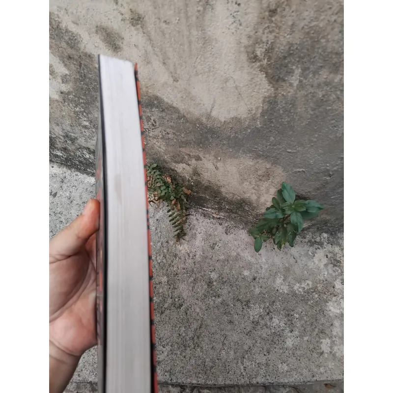 Chuyện tình giai nhân của Trương Ái Linh  1006725