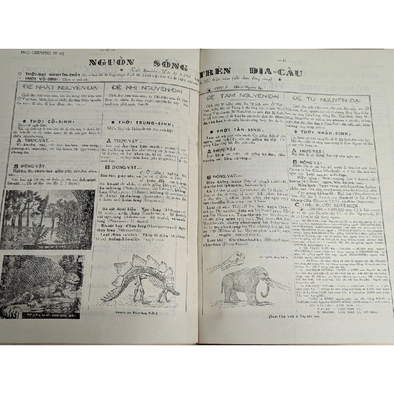 Việt Nam bách khoa từ điển - Đào Đăng Vỹ 449844