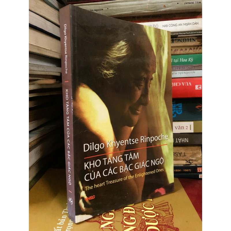 Kho tàng tâm của các bậc giác ngộ - Dilgo Khyentse Rinpoche 306638