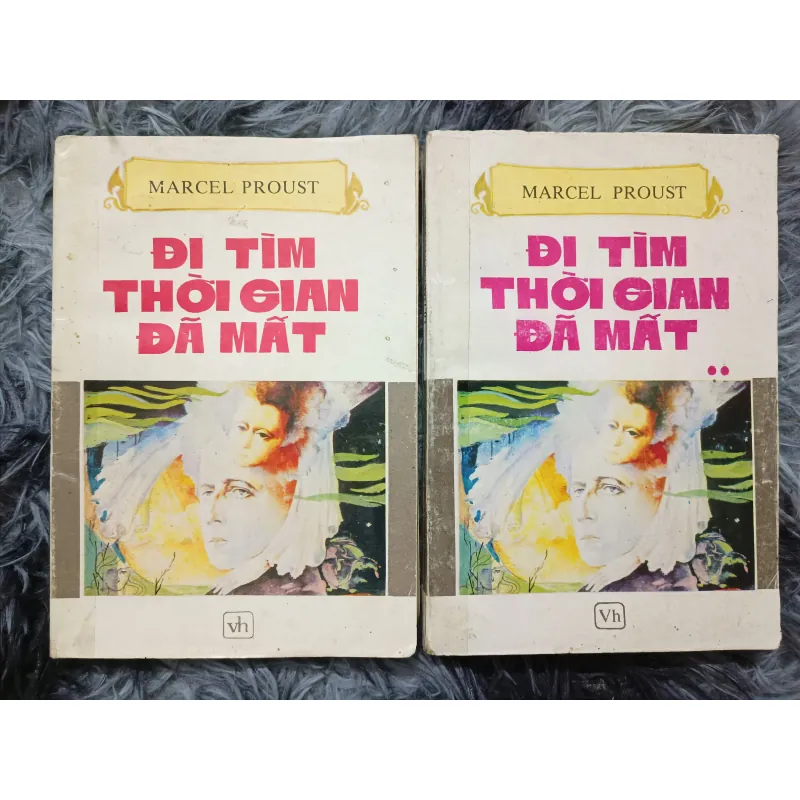 Đi tìm thời gian đã mất (Proust) 934466