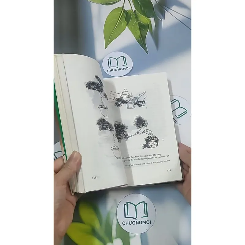 Bonsai: Cây dáng, thế và non bộ - Đỗ Hiệp 694948