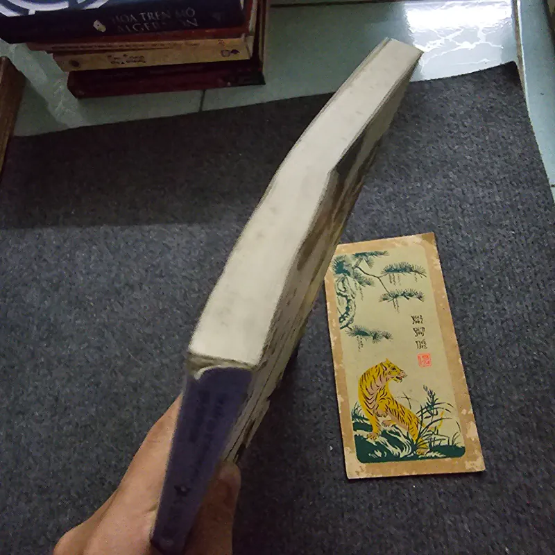 Dòng chảy thời trang thế giới 748540