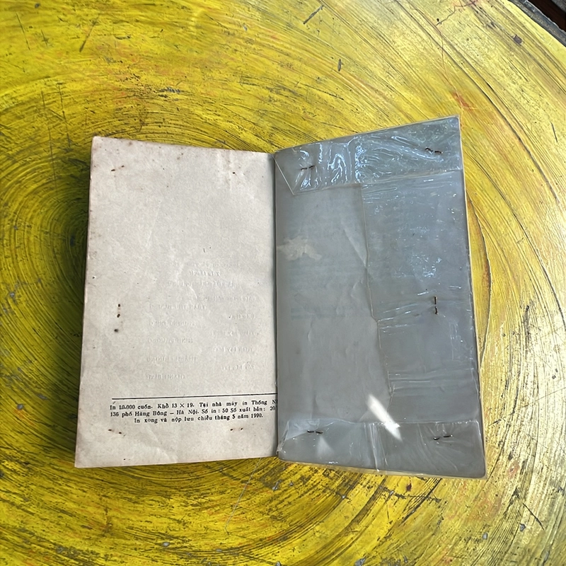 Angielic và Tình yêu 463295