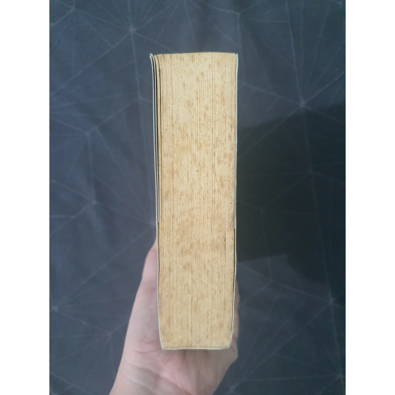 "Cô gái có hình xăm rồng" - Stieg Larsson 475609