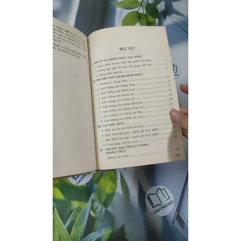 Phong Thủy Trong Hôn Nhân - Thanh Long 990527