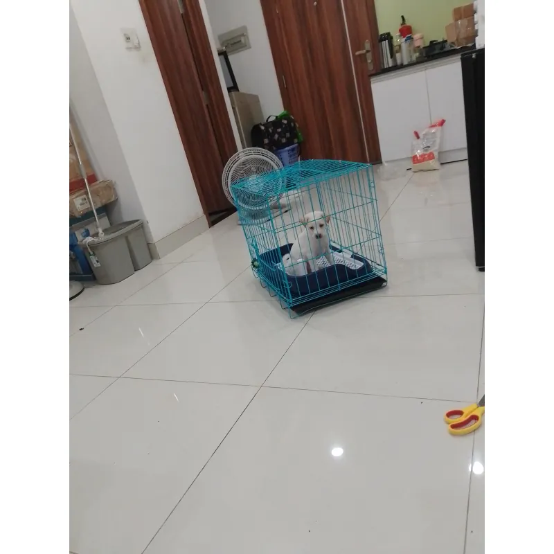 Combo chuồng và túi cho cún dưới 5kg 708724