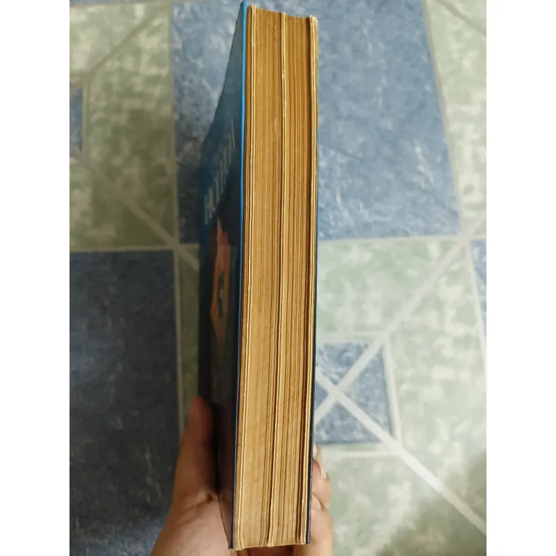 Thưởng ngoạn hội họa - David Piper 567929