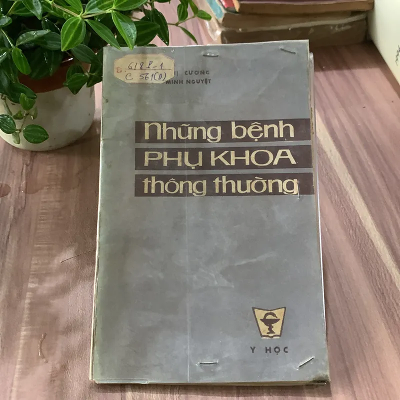 Những bệnh phụ khoa thông thường, Dương Thị Cương 622727
