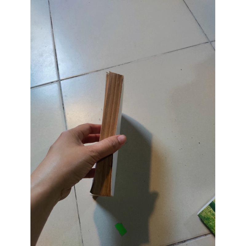 Đêm về lá rụng 477150