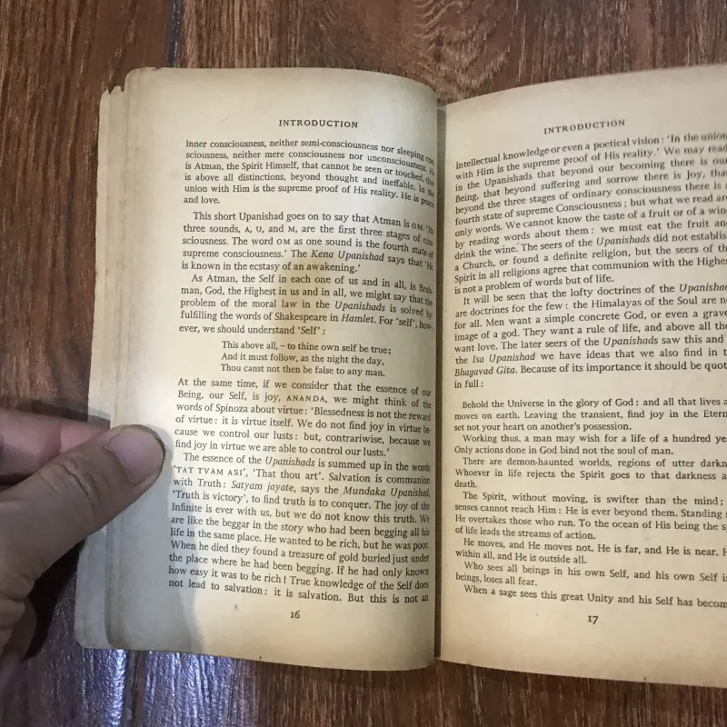 The Bhagavad Gita (8) 1012846