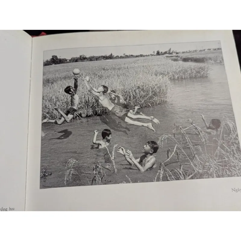 Ảnh nghệ thuật Đăng Quang 698237