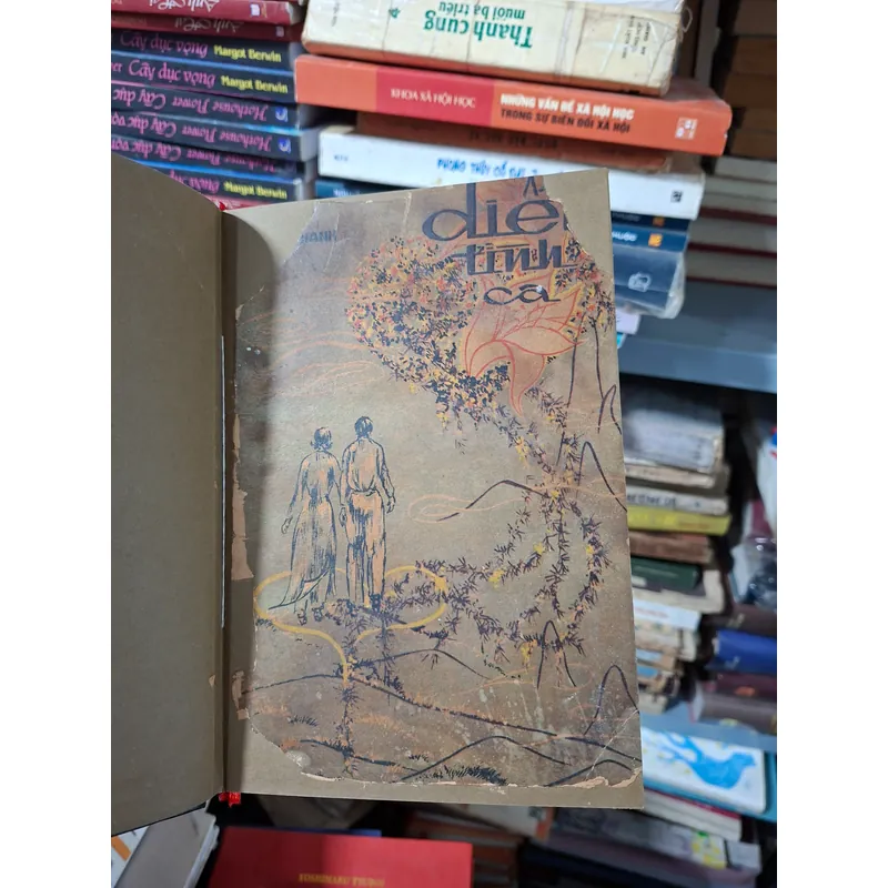 Diễm Tình Ca 712556