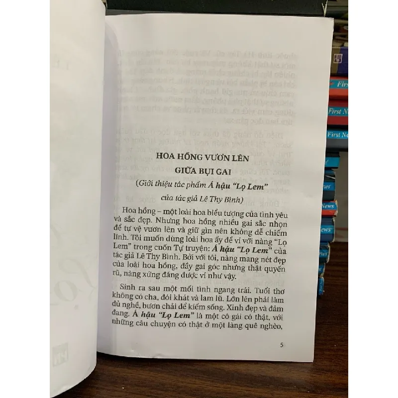 Á Hậu "Lọ Lem"- Lê Thy Bình 700440