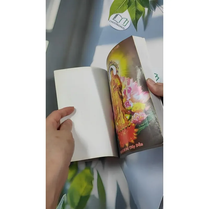 Kinh Nghiệm Niệm Phật Và Những Chuyện Luân Hồi - Cư Sĩ Diệu Âm - Diệu Ngộ 776139