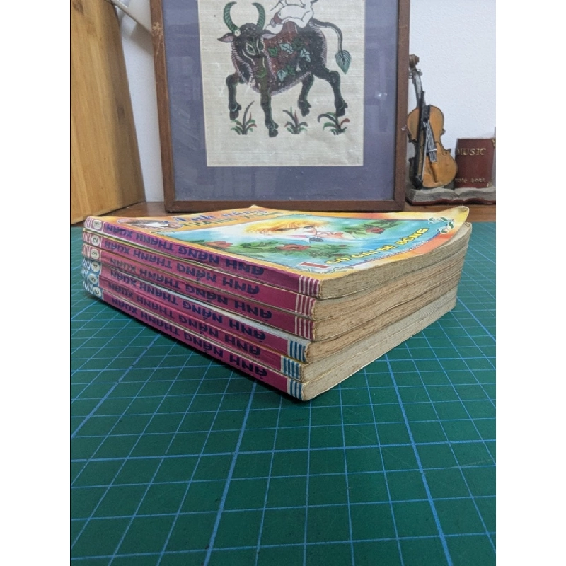 Truyện tranh Ánh nắng thanh xuân 544677