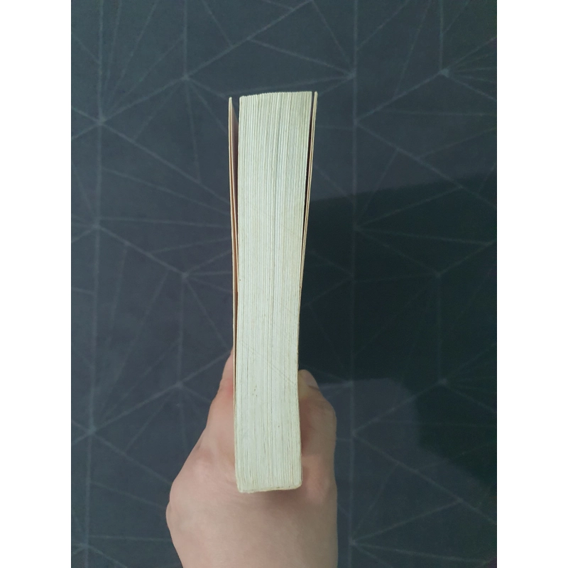 "Hóa ra anh vẫn ở đây" - Tân Di Ổ 492793