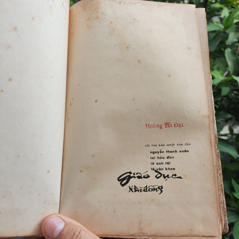 Giáo Dục Nhi Đồng 495600
