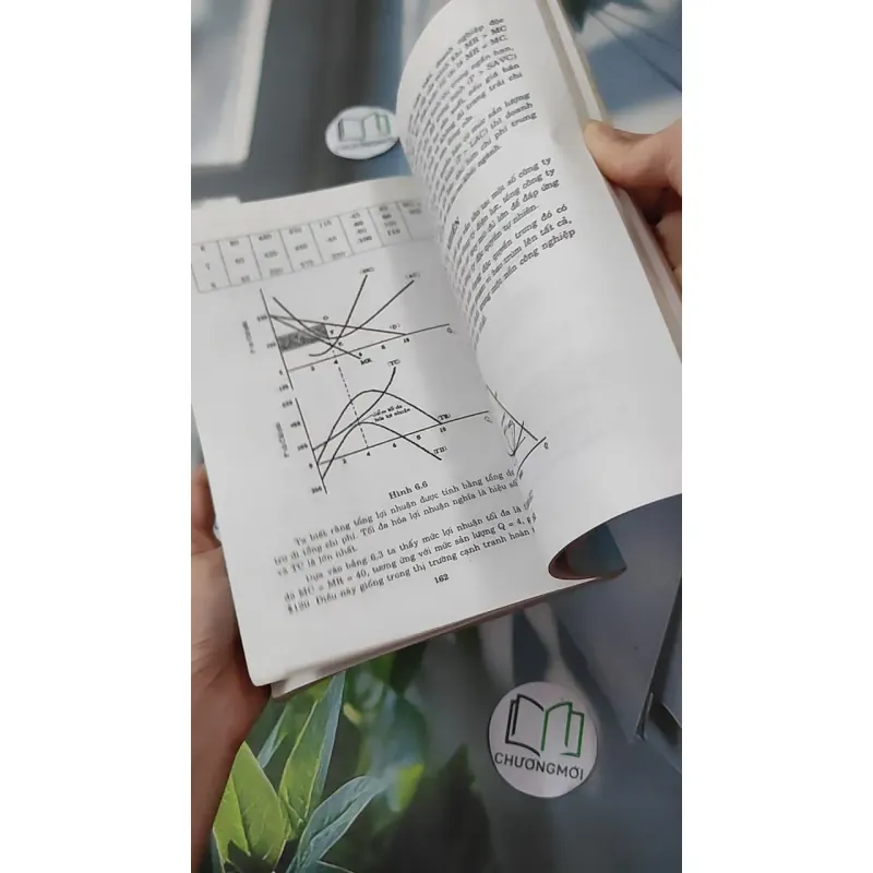 Kinh tế vi mô - Nguyễn Minh Tuấn & Võ Thị Thúy Hoa 1018853